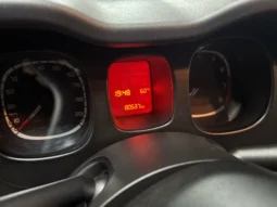 FIAT PANDA 1.2 69CV GPL (CASA MADRE)
