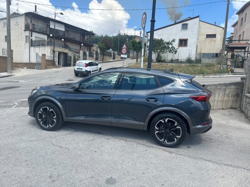 Cupra Formentor 2.0 TDI 150cv 4motion aut.